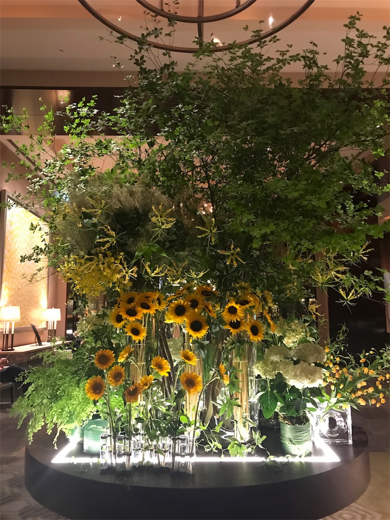 f:id:erika0706:20180616225332j:image