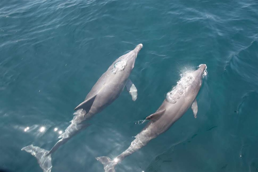 f:id:erika0706:20180826082404j:image f:id:erika0706:20180826082404j:image