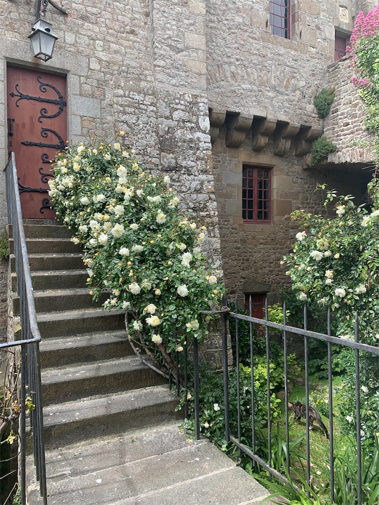 f:id:erika0706:20190622125756j:image