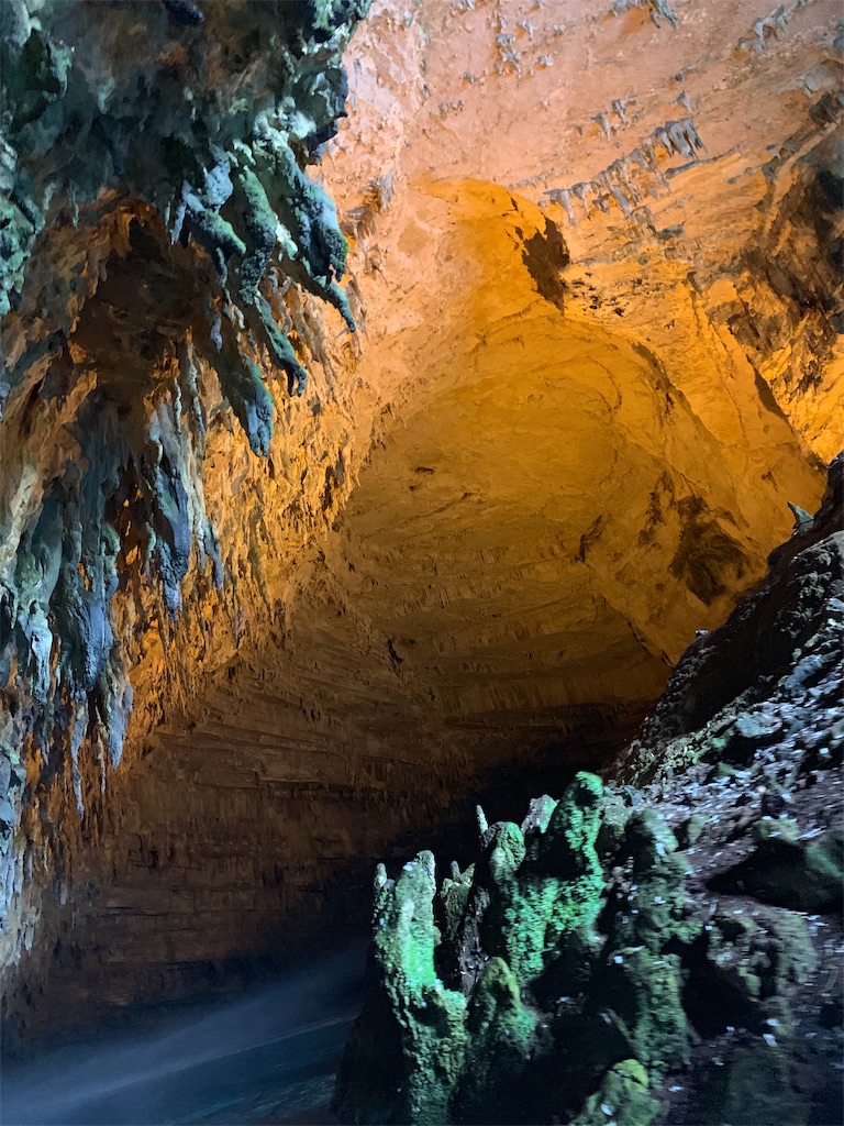 f:id:erika0706:20191008133405j:image f:id:erika0706:20191008133405j:image