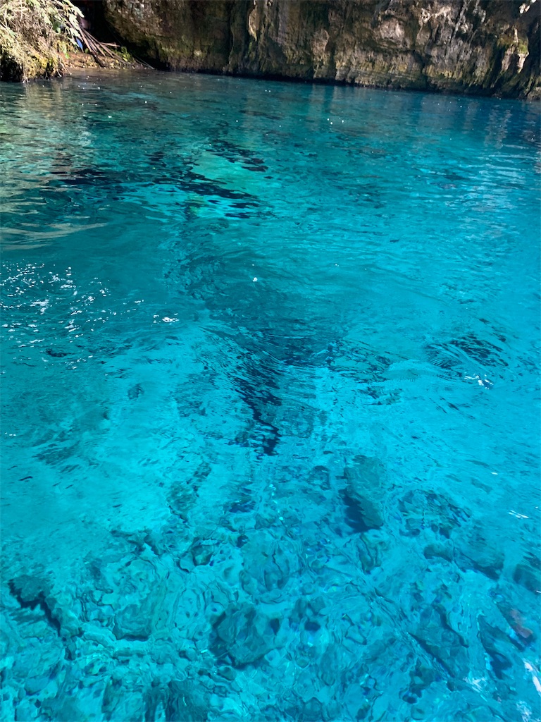f:id:erika0706:20191008133806j:image f:id:erika0706:20191008133806j:image