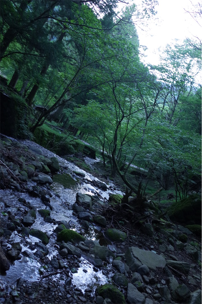 f:id:erika076:20240821183600j:image