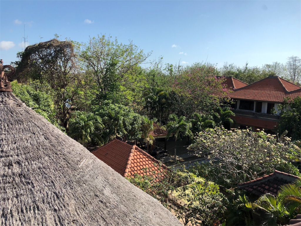 f:id:erikamd:20180924015902j:image f:id:erikamd:20180924015902j:image
