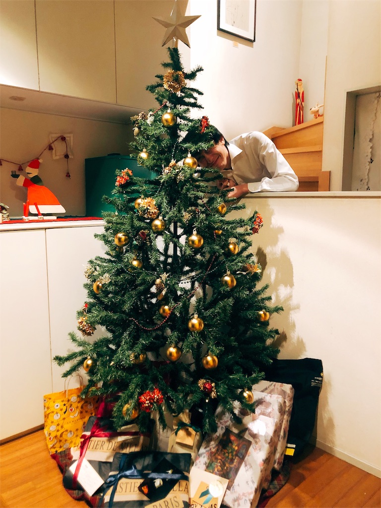 f:id:erikamd:20181226221644j:image f:id:erikamd:20181226221644j:image