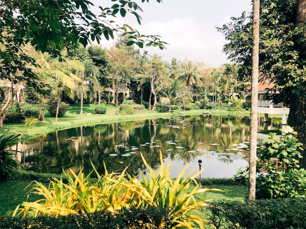 f:id:erikamd:20190212171615j:image f:id:erikamd:20190212171615j:image