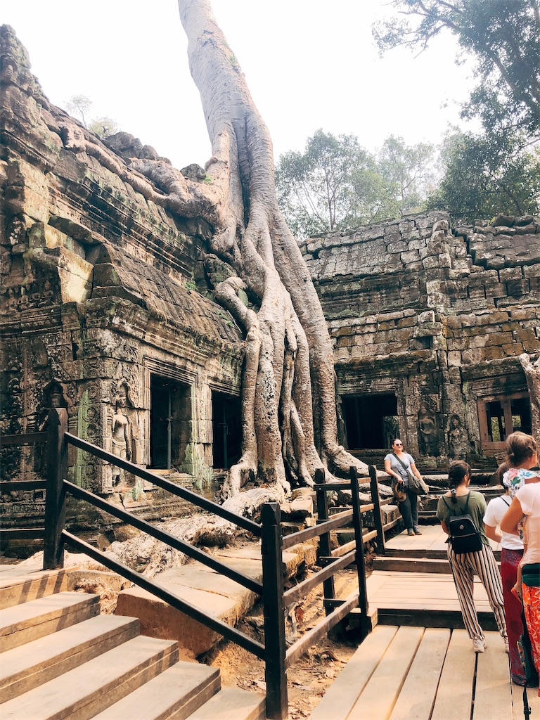 f:id:erikamd:20190212174117j:image f:id:erikamd:20190212174117j:image