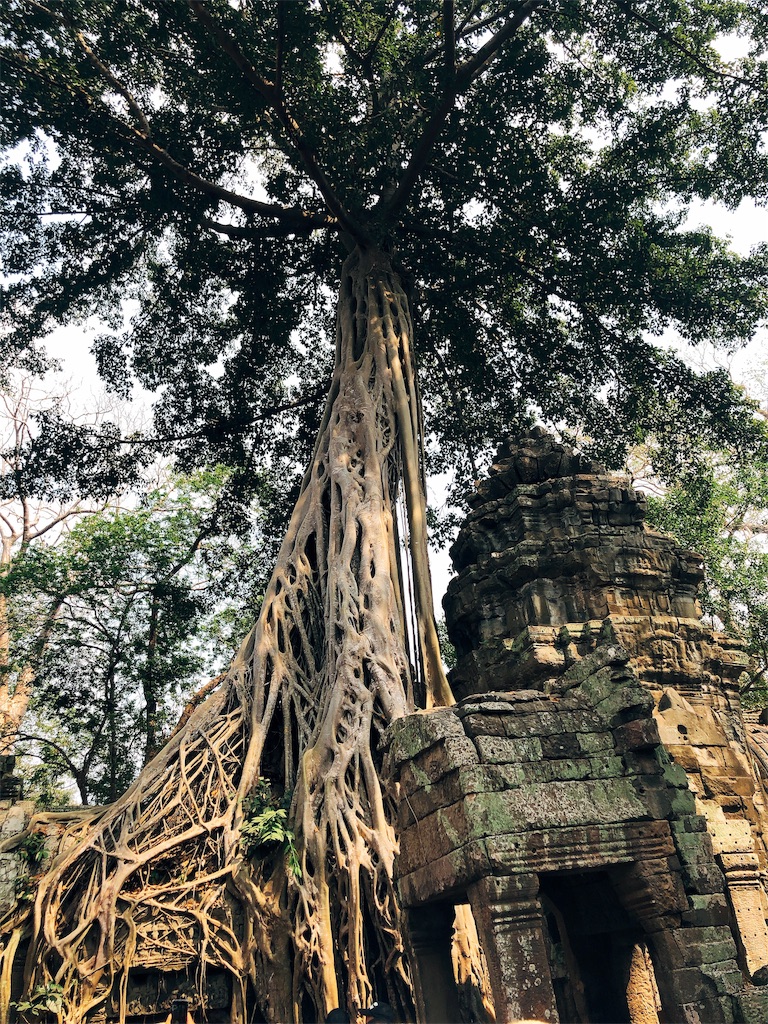 f:id:erikamd:20190212174246j:image f:id:erikamd:20190212174246j:image