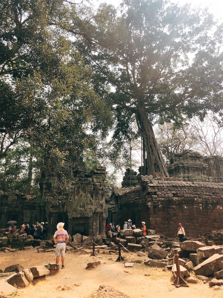 f:id:erikamd:20190212174251j:image f:id:erikamd:20190212174251j:image