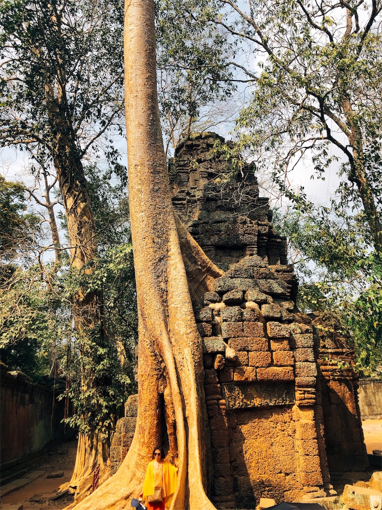 f:id:erikamd:20190212174258j:image f:id:erikamd:20190212174258j:image