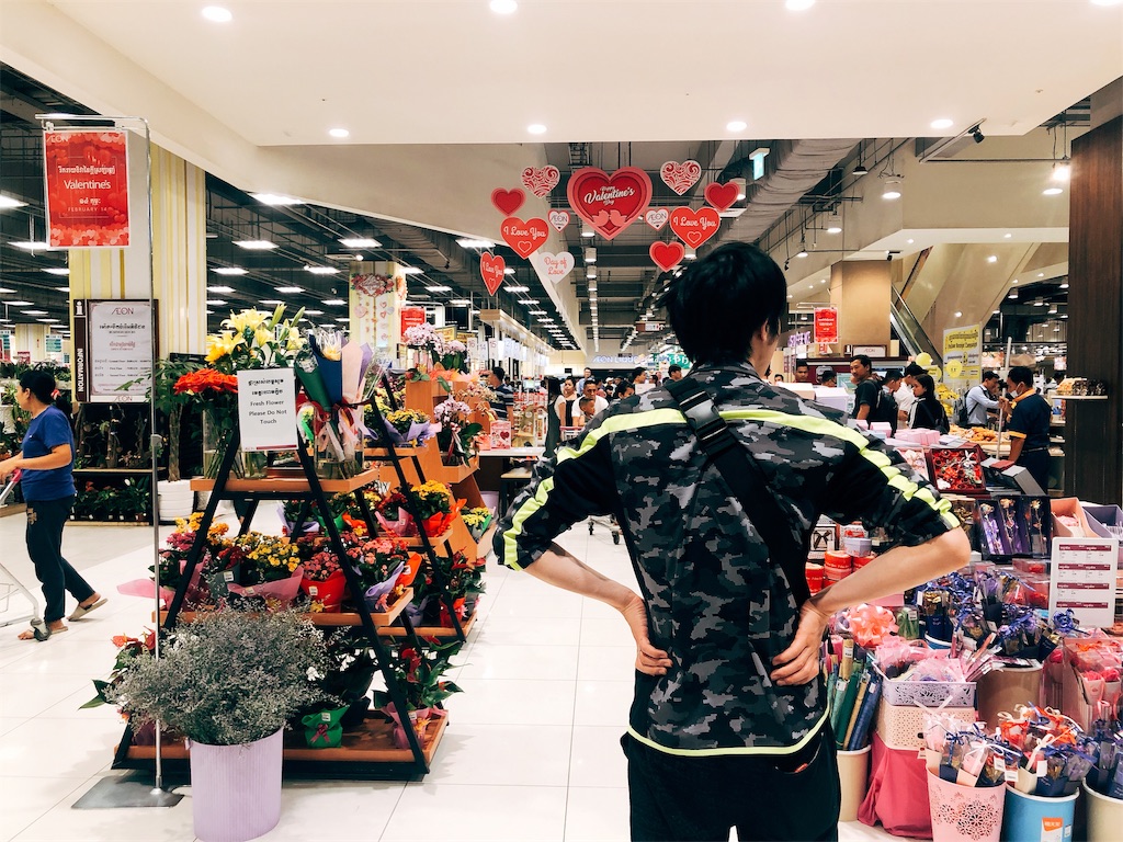 f:id:erikamd:20190212181715j:image f:id:erikamd:20190212181715j:image