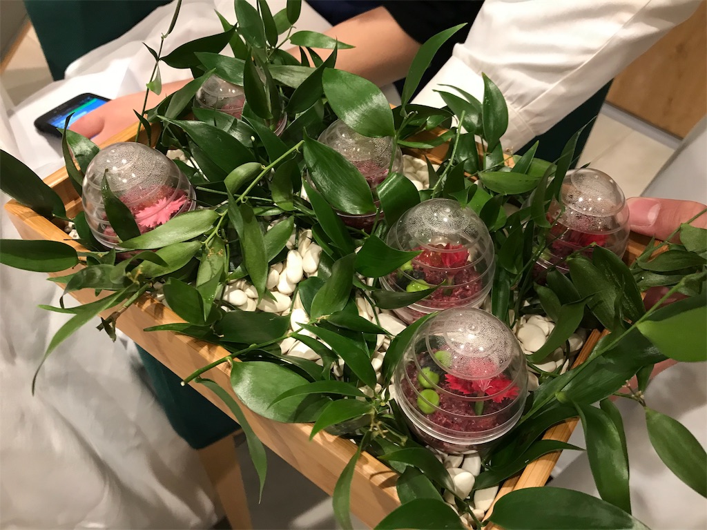f:id:erikamd:20191110221611j:image f:id:erikamd:20191110221611j:image