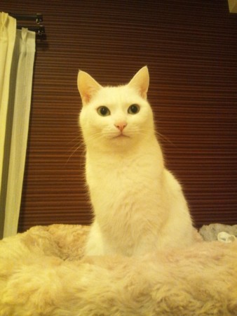 f:id:erikichi:20120229020725j:image f:id:erikichi:20120229020725j:image