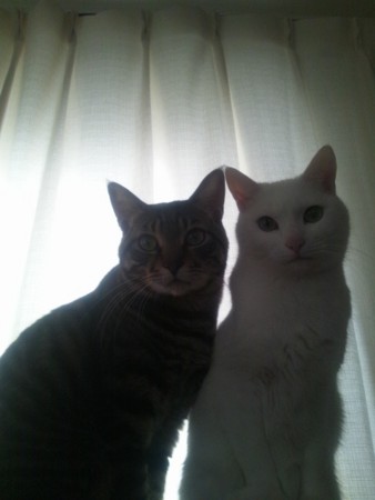 f:id:erikichi:20120320221214j:image f:id:erikichi:20120320221214j:image