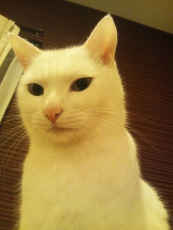 f:id:erikichi:20120320221535j:image f:id:erikichi:20120320221535j:image