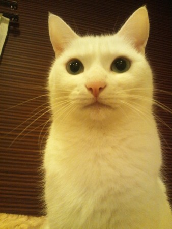 f:id:erikichi:20120321021150j:image f:id:erikichi:20120321021150j:image