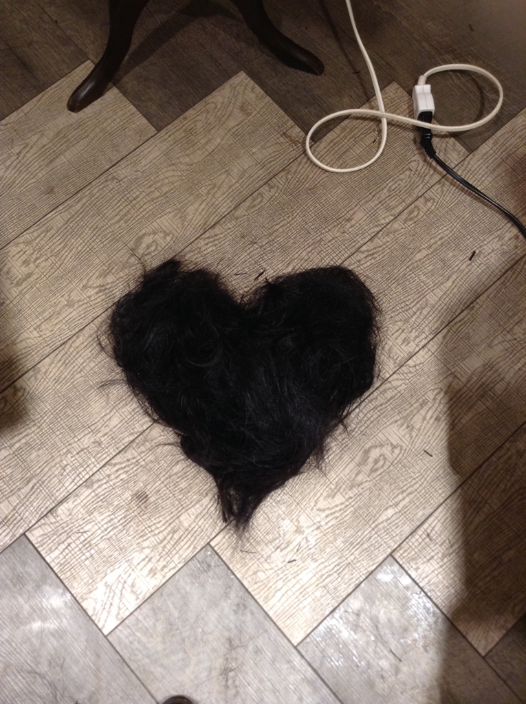 f:id:eriko_moon:20161127232904j:plain