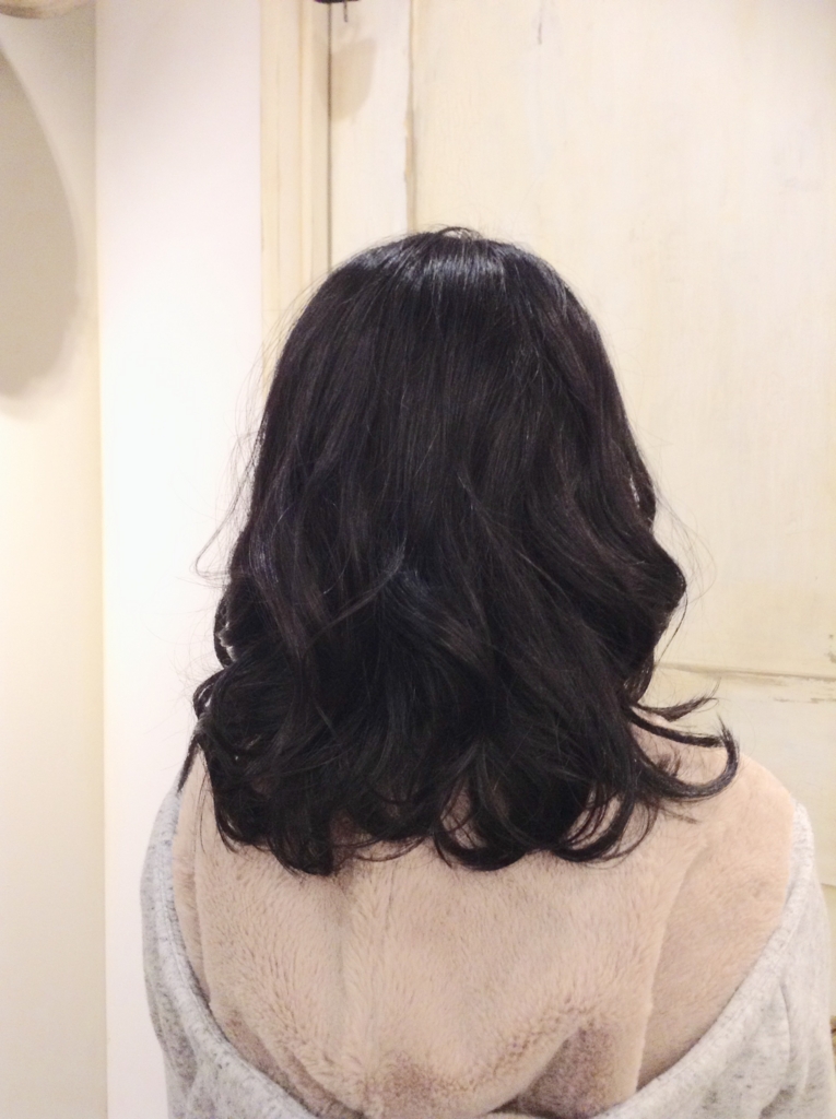 f:id:eriko_moon:20161127233433j:plain