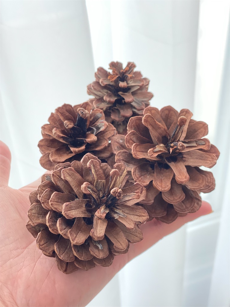 f:id:erimininkorea:20211110112102j:image f:id:erimininkorea:20211110112102j:image