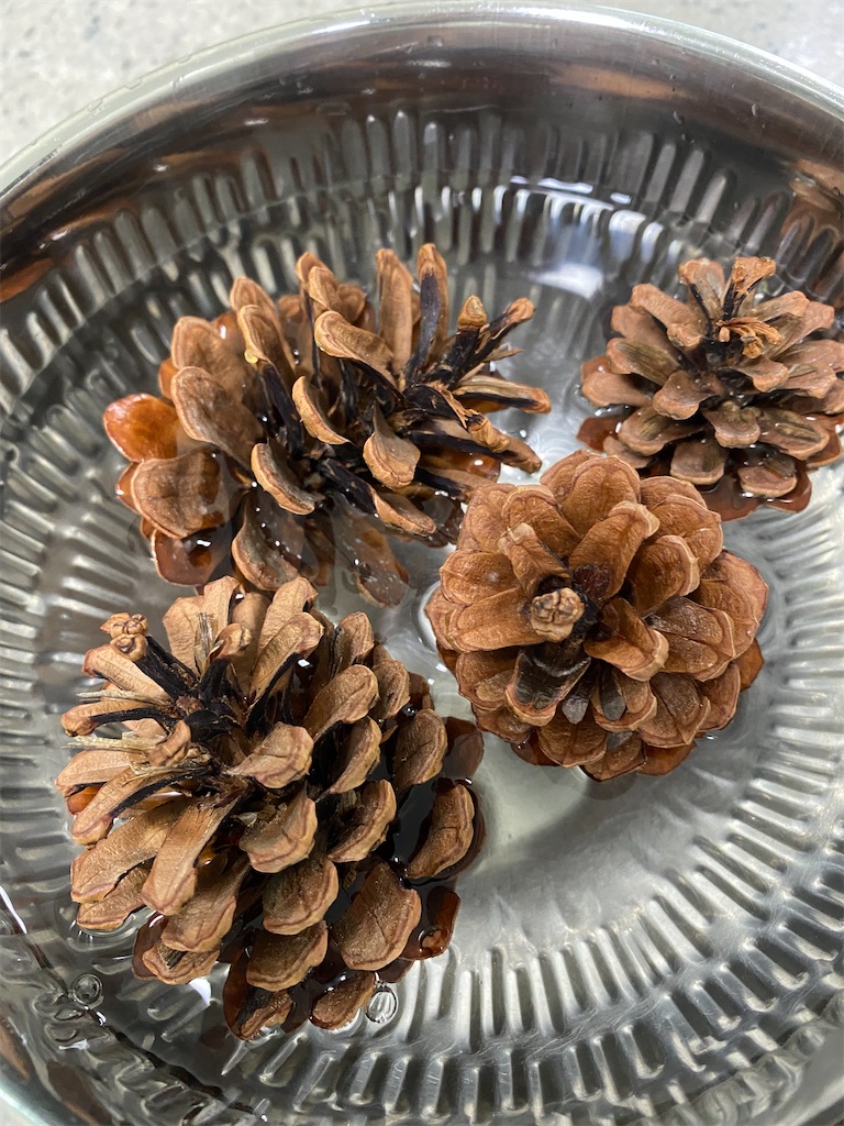 f:id:erimininkorea:20211110112457j:image f:id:erimininkorea:20211110112457j:image