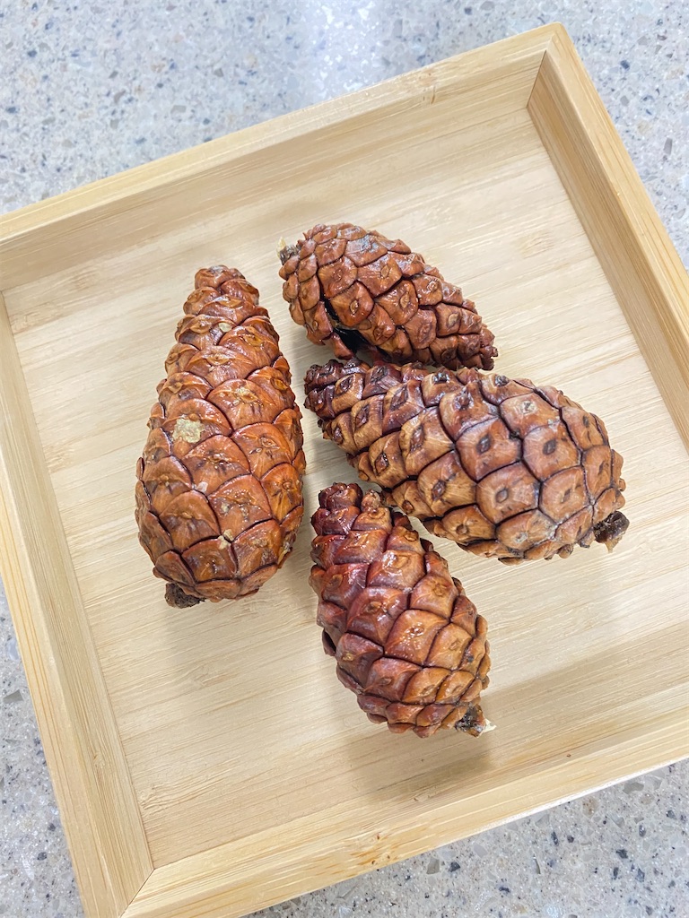 f:id:erimininkorea:20211110112814j:image f:id:erimininkorea:20211110112814j:image