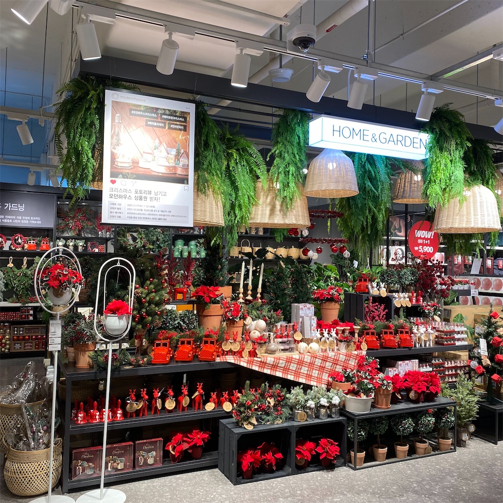 f:id:erimininkorea:20211203023317j:image f:id:erimininkorea:20211203023317j:image