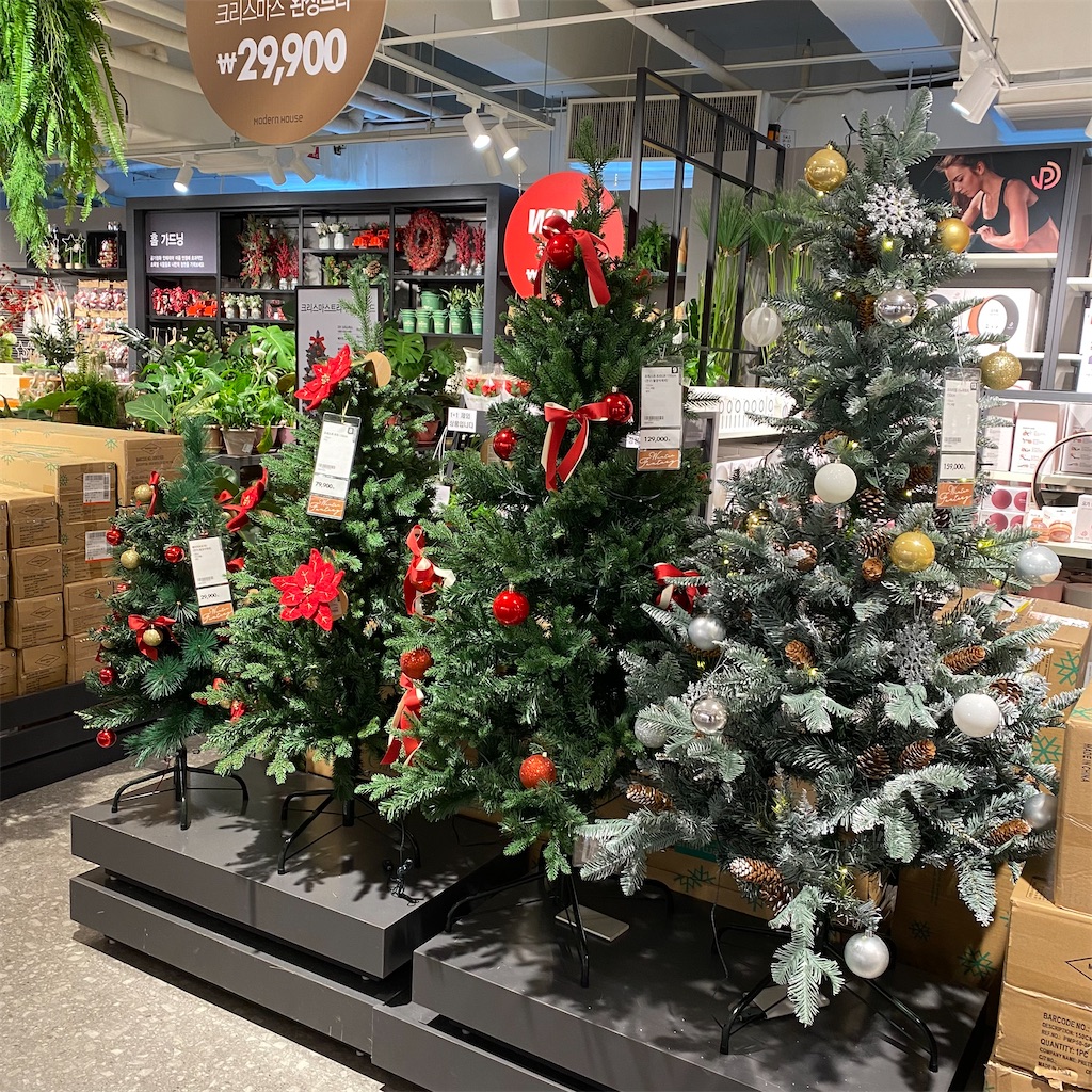 f:id:erimininkorea:20211203023422j:image f:id:erimininkorea:20211203023422j:image