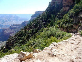 f:id:erin5:20090715071603j:image f:id:erin5:20090715071603j:image
