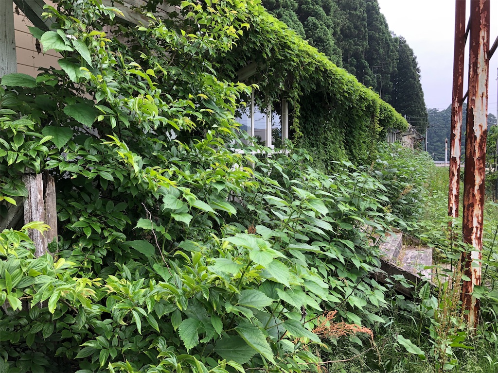 f:id:erinakosakana:20190612153826j:image