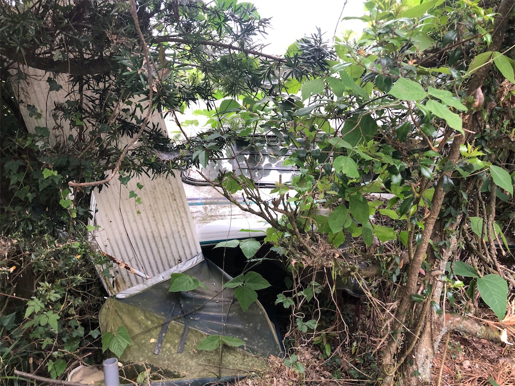 f:id:erinakosakana:20190612153846j:image