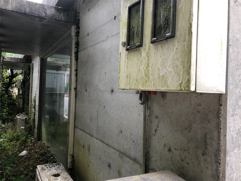 f:id:erinakosakana:20190612153851j:image