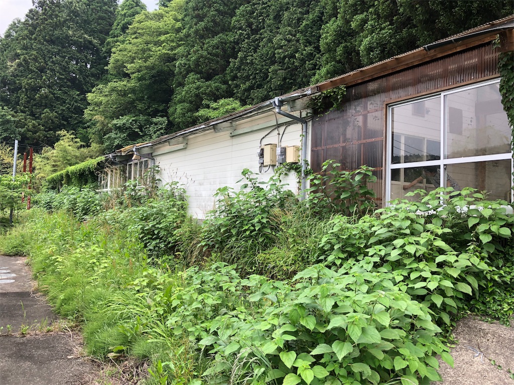 f:id:erinakosakana:20190612153855j:image