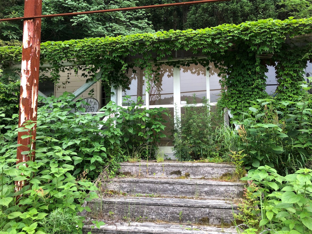 f:id:erinakosakana:20190612153906j:image
