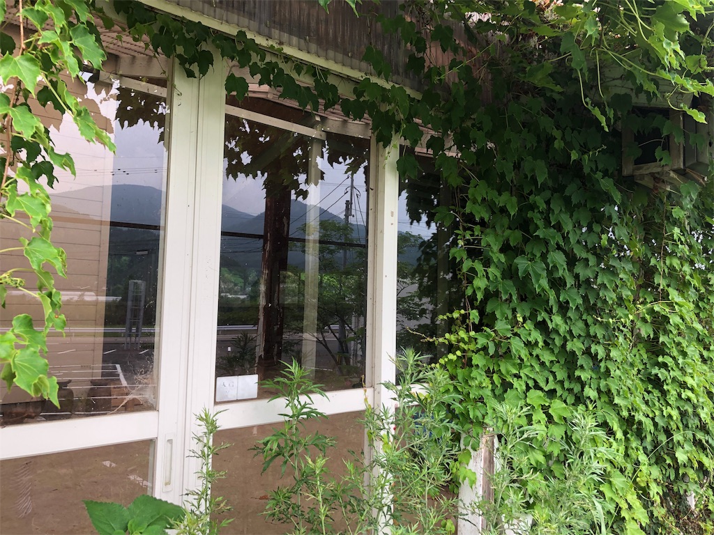 f:id:erinakosakana:20190612153910j:image