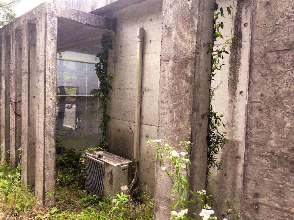 f:id:erinakosakana:20190612153921j:image