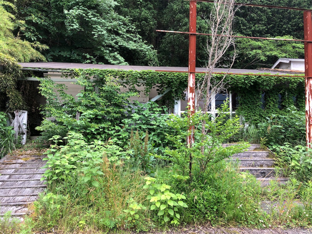f:id:erinakosakana:20190612153954j:image