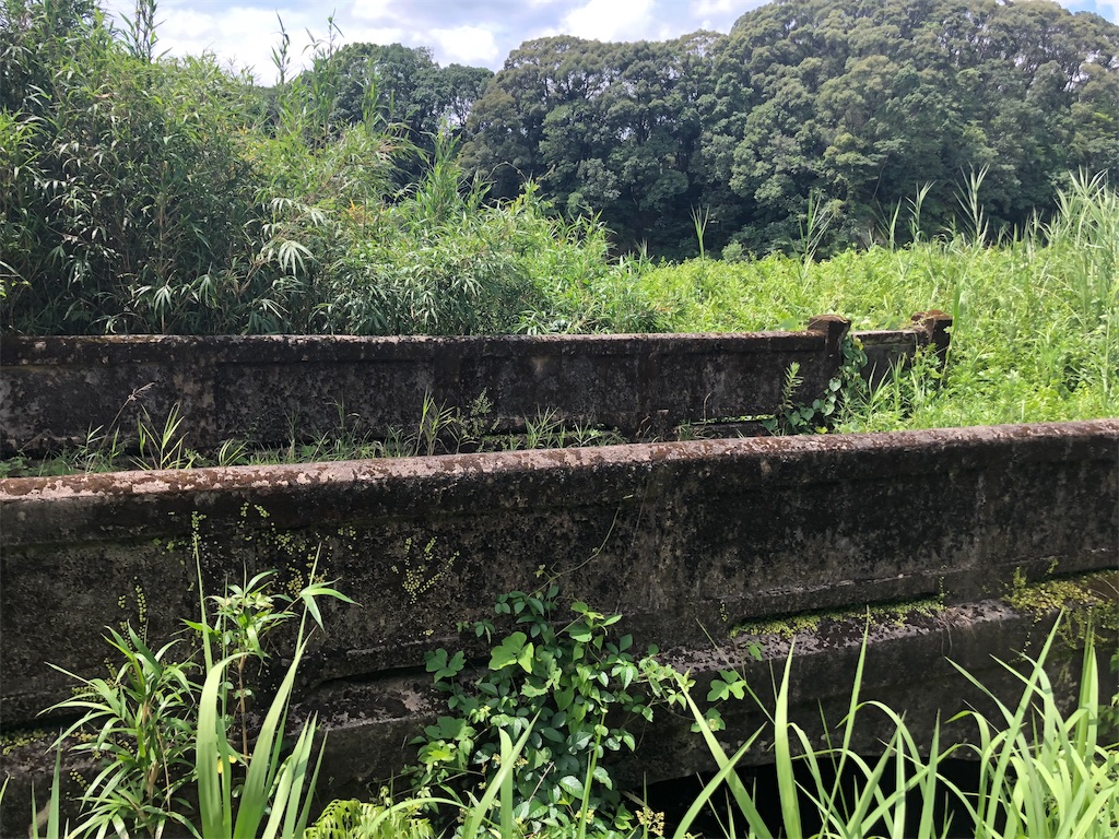 f:id:erinakosakana:20190814021400j:image