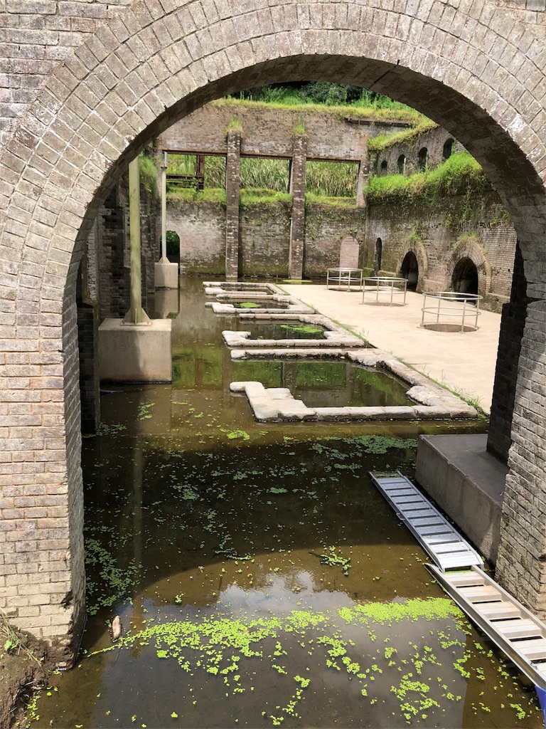 f:id:erinakosakana:20190814021420j:image