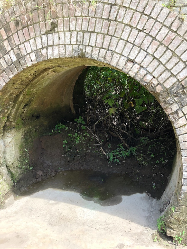 f:id:erinakosakana:20190814021429j:image