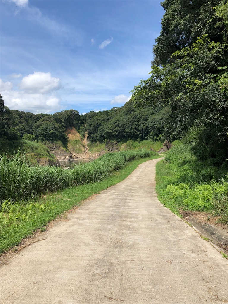 f:id:erinakosakana:20190814021437j:image