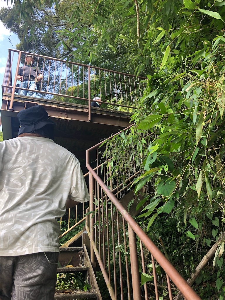 f:id:erinakosakana:20190814022808j:image