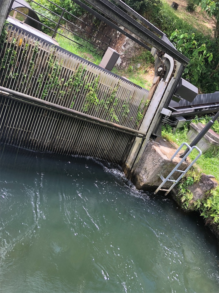 f:id:erinakosakana:20190814023950j:image