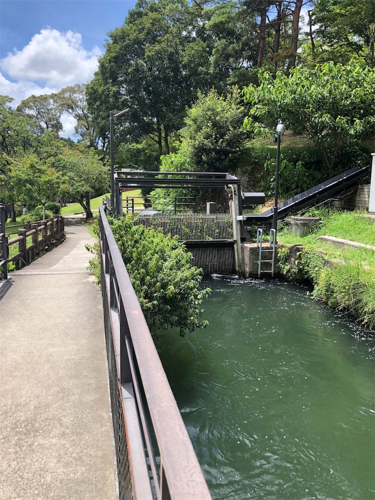 f:id:erinakosakana:20190814023954j:image