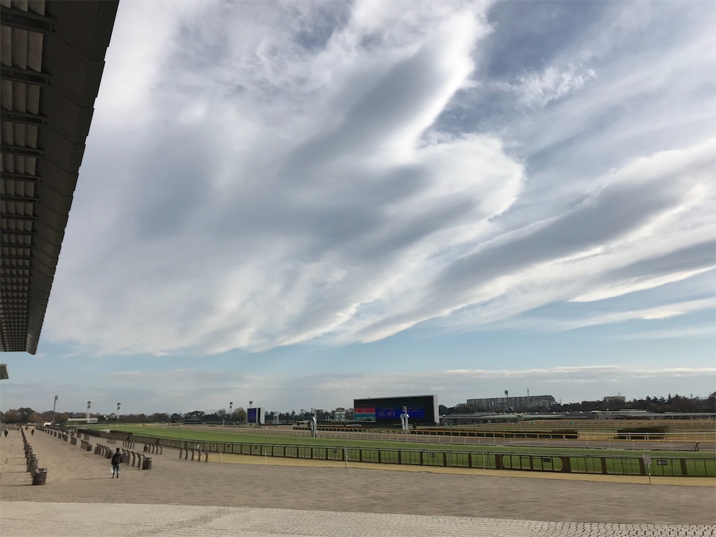 ミニ新幹線無料!遊具いっぱい!東京競馬場 - こどもとおでかけ