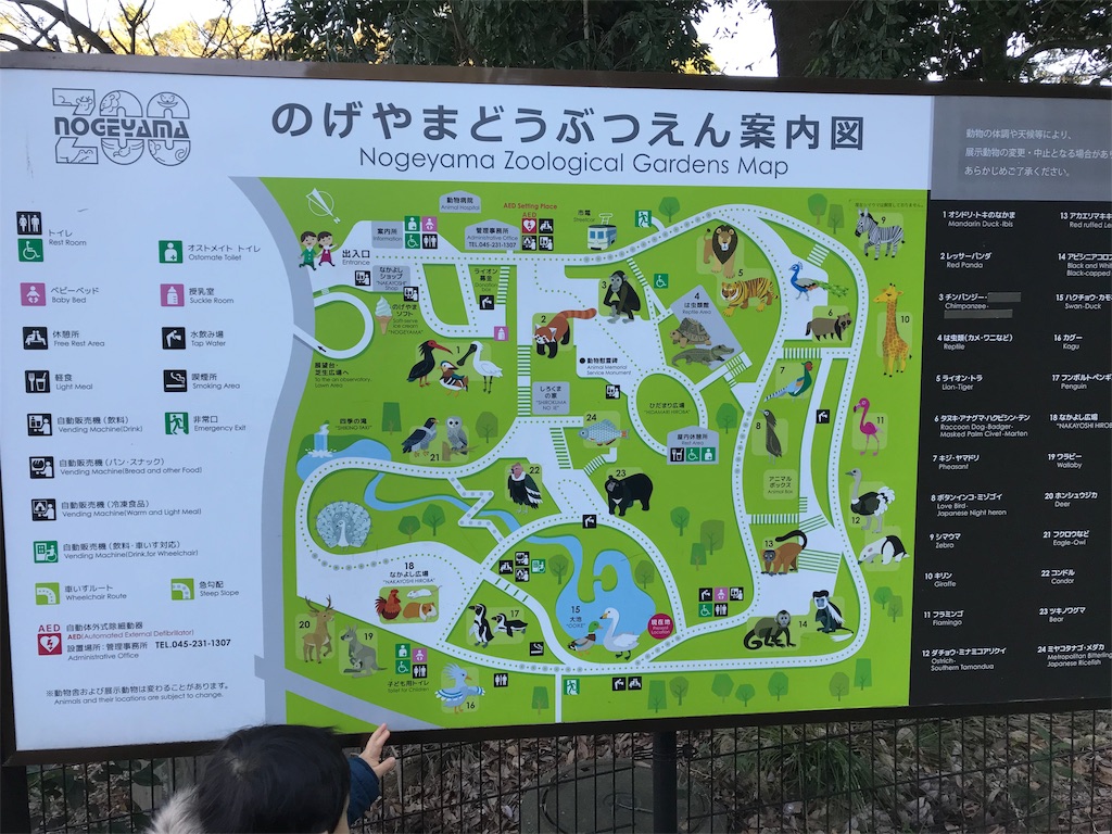 野毛山動物園 再チャレンジ こどもとおでかけ