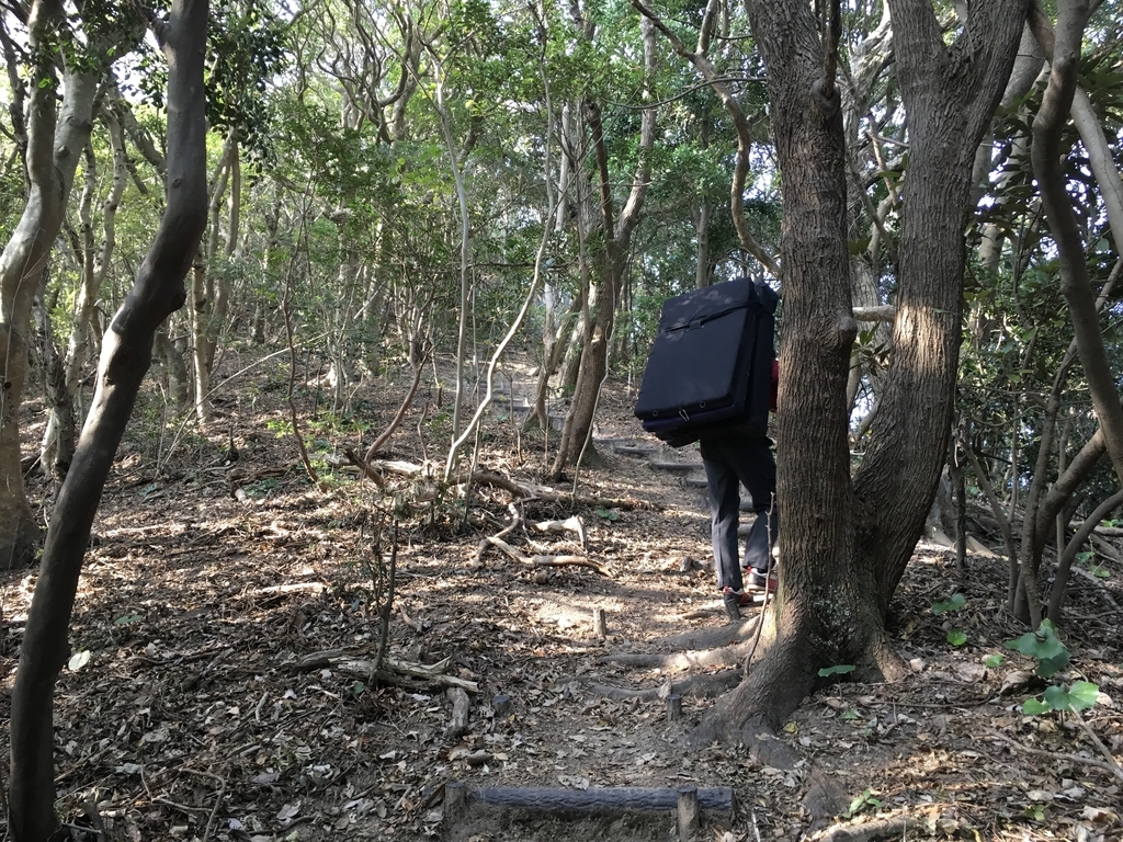 f:id:erio14:20181119204337j:plain