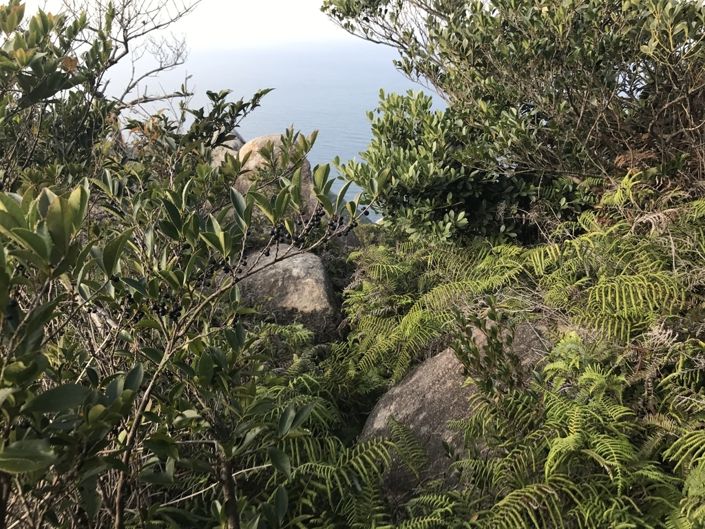 f:id:erio14:20181121122251j:plain