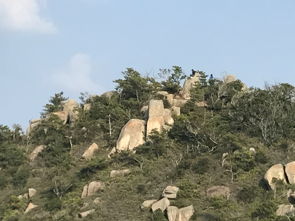 f:id:erio14:20181121122607j:plain