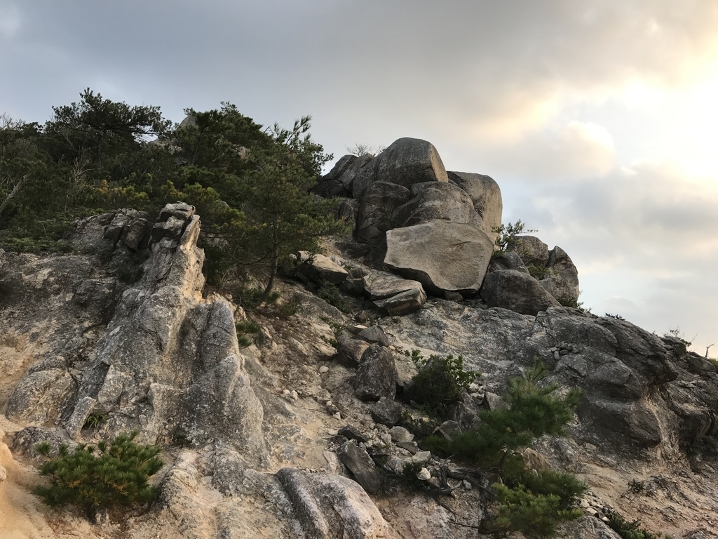 f:id:erio14:20181122231719j:plain