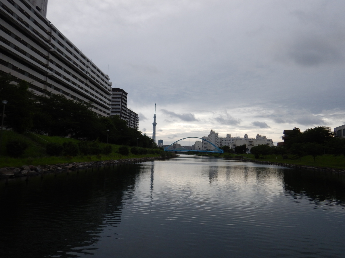 f:id:erio14:20190710030840j:plain