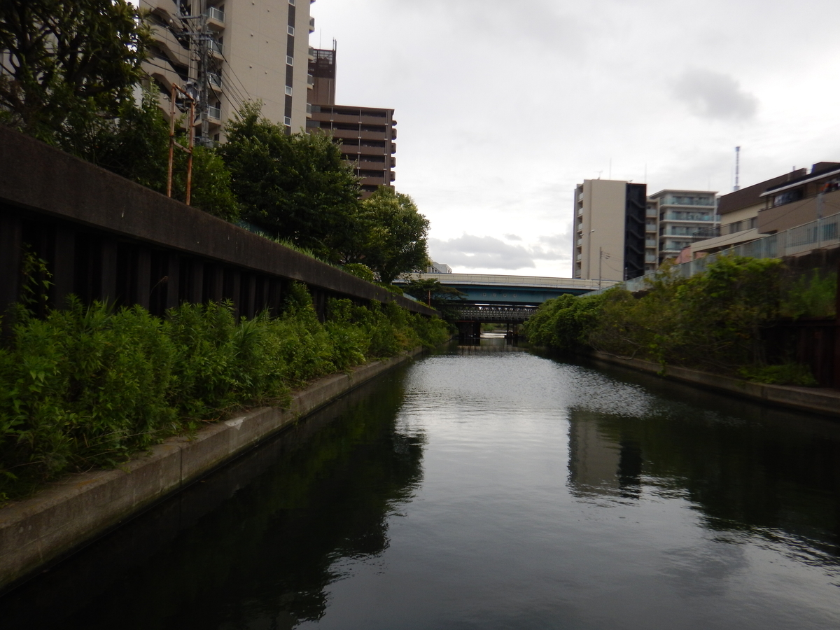 f:id:erio14:20190710032202j:plain